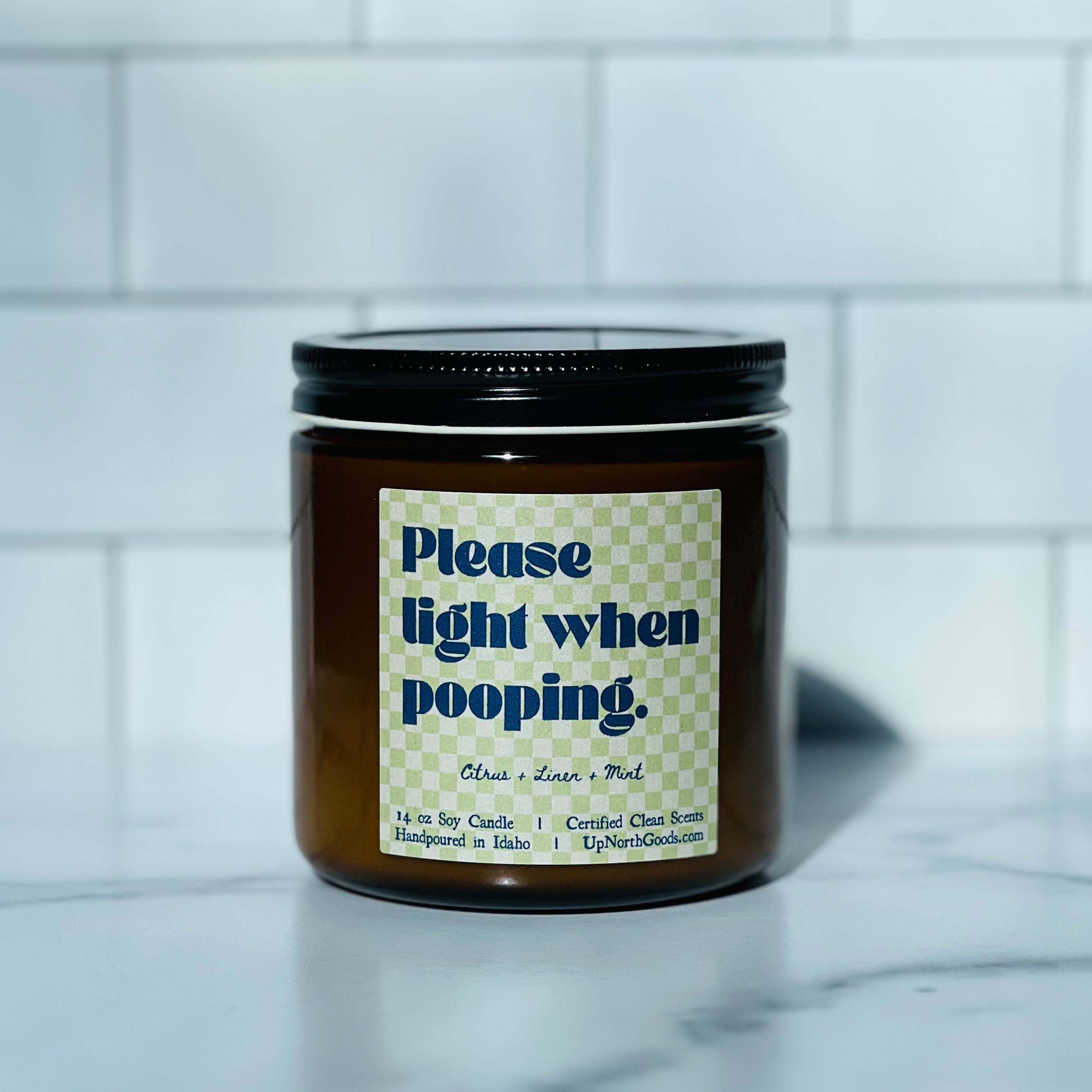 Please Light When Pooping Soy Candle