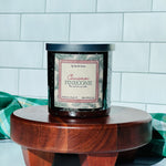 Load image into Gallery viewer, Cinnamon Pinecone Soy Candle
